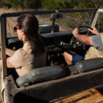 Safari-Plätze in der Türkei: Ein aufregendes Erlebnis